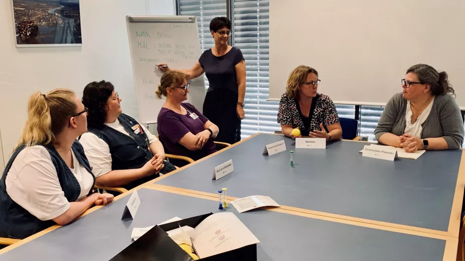 Det tværfaglige koordineringsmøde