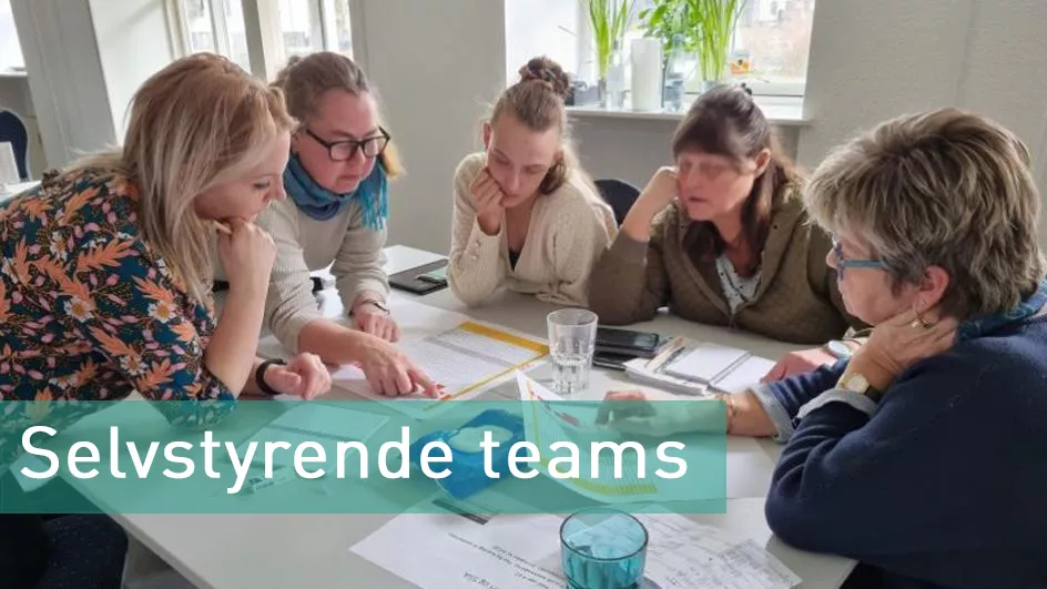 Selvstyrende teams i hjemmeplejen