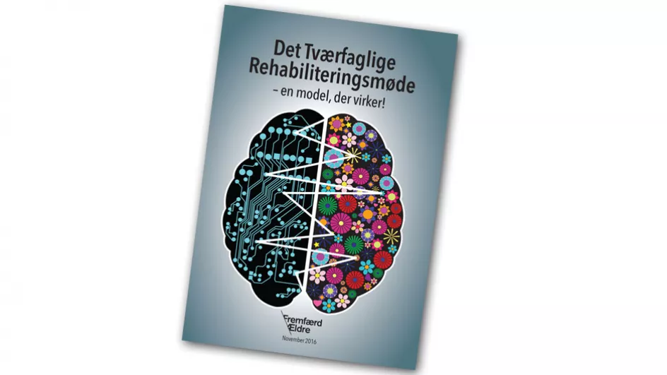 Håndbog rehabiliteringsmøde